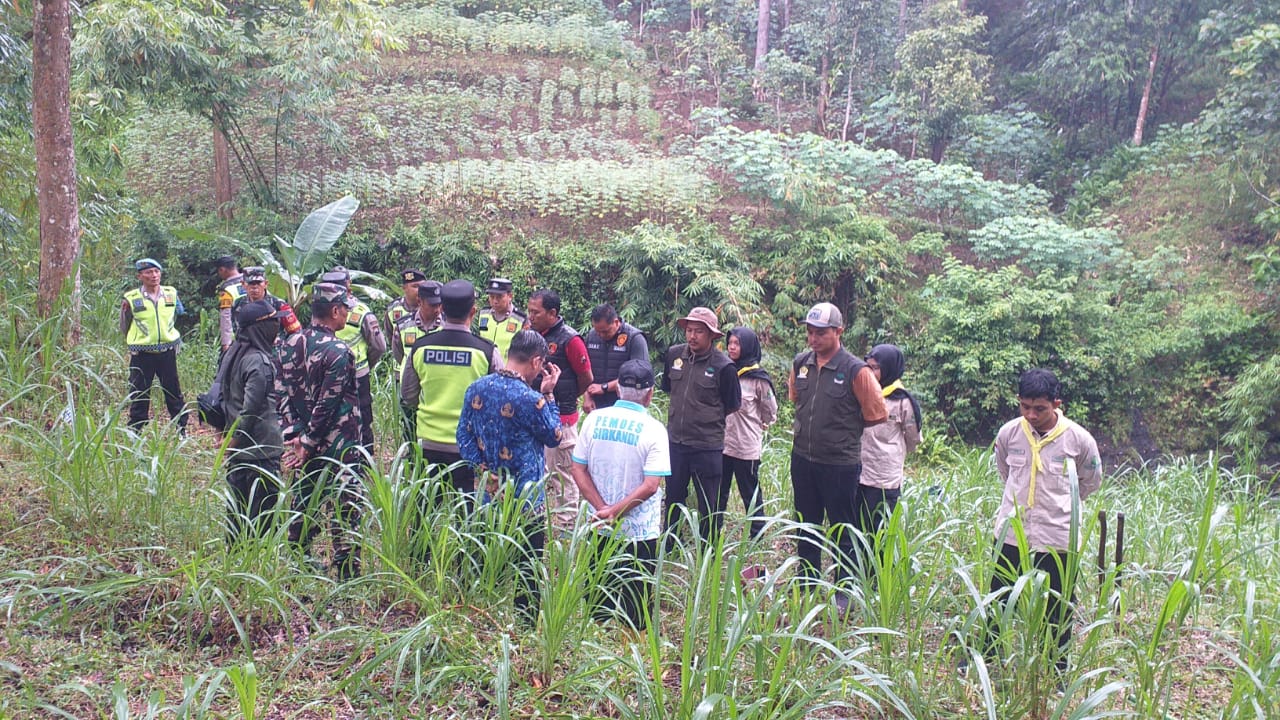 WhatsApp Image 2025-12-17 at 09.12.26